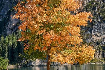 chalet-rudla-rudana-herbstliebe